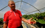 Jean-Claude Terlet doute qu'un éventuel produit de substitution au glyphosate soit moins nocif