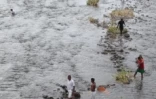 Mardi 1er Février 2011

Pêche aux bichiques dans la rivière de Saint-Denis

(Photo Marie Trouvé)