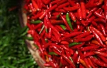 Piment de la Réunion