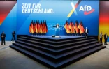 Alice Weidel, codirigeante du parti d'extrême droite Alternative pour l'Allemagne (AfD), s'adresse aux délégués lors d'un congrès du parti le 11 janvier 2025 à Riesa, dans l'est de l'Allemagne