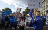 Des manifestants brandissent des pancartes contre le Brexit, lors d'une manifestation à Londres, le 9 septembre