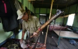 Un garde forestier contrôle son arme le 2 juin 2016 dans le parc national de Kaziranga en Inde
