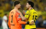 Le gardien de but de Dortmund Gregor Kobel (g) et son défenseur Mats Hummels contre le PSG en demi-finale retour de C1, le 1er mai 2024 à Dortmund