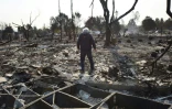 Un habitant de Santa Rosa au milieu de ce qui reste de sa maison détruite par des incendies, le 11 octobre 2017 en Californie