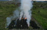 Une terre agricole en feu à Sao Felix do Xingu, en Amazonie brésilienne, le 20 juin 2025