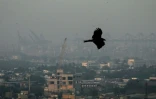 La ville de Karachi dans un épais brouillard de pollution, le 10 janvier 2026 au Pakistan