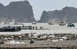 La baie d'Ha Long après le passage du typhon Yagi, le 8 septembre 2024 au Vietnam