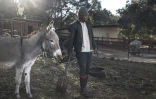 A la Donkey Dairy Farm, le 13 juin 2022 