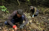 Enrique La Marca, à la tête du projet de reproduction du Centre de préservation des espèces vénézuéliennes amphibies, à Merida au Vénézuela le 28 avril 2022