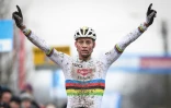 Le Néerlandais Mathieu Van der Poel, vainqueur de l'épreuve de cyclo-cross d'Otegem, le 13 janvier 2020