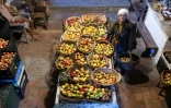 L'agronome italienne Isabella Dalla Ragione pose dans une petite église où elle entrepose des fruits cultivés par sa fondation à but non lucratif Archeologia Arboreas, à San Lorenzo di Lerchi, un hameau de Città di Castello, en Italie, le 7 novembre 2025