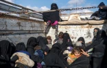 Des femmes et des enfants fuient les combats dans l'ultime réduit du groupe jihadiste Etat islamique (EI) dans l'est de la Syrie, le 11 février 2019 