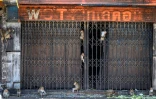 Des macaques devant un magasin désaffecté de Lopburi, le 21 juin 2020 en Thaïlande