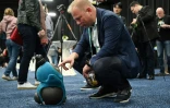 Un participant interagit avec le robot Lovot de Grooxe X, lors du CES de 2020 à Las Vegas