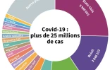 Covid-19 : plus de 25 millions de cas