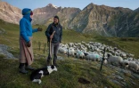Le berger Mathis von Siebenthal et Aliki Buhayer-Mach (g), bénévole de l'ONG Oppal pour la protection des alpages, le 10 août 2023 à Pontimia, dans les Alpes suisses