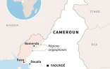 Carte du Cameroun et de ses régions anglophones