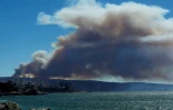 Un épais nuage de fumée causé par par un incendie s'échappe d'une forêt près de Valpareiso (Chili) le 2 janvier 2017