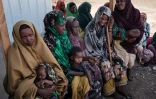 Des familles ayant récemment fui la sécheresse qui frappe le sud de la Somalie, et réfugiées dans le camp de Muuri à Badoa, le 13 février 2022.