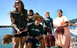 Le biologiste marin Teina Rongo (c) et des plongeurs du groupe environnemental Korero O Te Orau montrent les étoiles de mer "couronnes d'épines "collectées sur un récif au large de Rarotonga, le 12 juin 2025 aux îles Cook