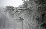 De la neige en Corse, à Ghisoni, le 22 février 2018