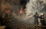 Des pompiers luttent contre un incendie à Acharnes, au nord d'Athènes, le 23 août 2023 en Grèce