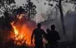 Des pompiers luttent contre un incendie de forêt près de Melloula, dans le nord-ouest de la Tunisie, près de la frontière avec l'Algérie, le 24 juillet 2023