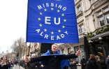 "L'UE nous manque déjà", proclame cette bannière brandie par un opposant au Brexit, le 31 janvier 2020 près du Parlement