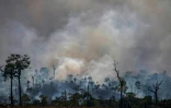 Des fumées s'élèvent de la forêt amazonienne près d'Altamira (nord du Brésil), le 27 août 2019