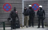 - Molenbeek - 