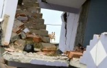 Un chien dans un immeuble effondré le 28 novembre 2019 à Durres sur la côte Adriatique après un séisme meurtrier