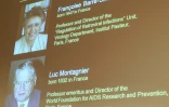 Le prix Nobel de Médecine 2008 est attribué à Luc Montagnier et Françoise Barré-Sinoussi pour leurs découvertes sur le virus du sida, le 6 octobre 2008 à Stockholm