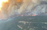 L'incendie de Sparks Lake, en Colombie-Britannique (Canada), le 29 juin 2021
