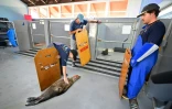 Denise Christ (g), coordinatrice des échouages du comté de Ventura, examine une otarie malade à l'Institut de la vie marine des îles Channel (CIMWI), le 9 juillet 2023 à Gaviota, en Californie 