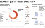 Insécurité : de quoi les Français ont-ils peur ?