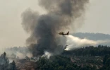 Un avion bombardier d'eau survole le village de Kourkouli (nord de Eubée) pour lutter contre les incendies, le 5 août 2021