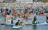 Des écologistes manifestent sur des planches de surf, paddles et kayaks à Falmouth (Cornouailles) en marge du sommet du G7 le 12 juin 2021