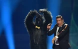 Le chanteur italien Francesco Gabbani et son partenaire déguisé en gorille lors de la finale de l'Eurovision, le 13 mai 2017 à Kiev