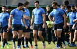 Les Argentins à l'entraînement, le 27 octobre 2015 à Sunbury