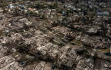 Vue aérienne de maisons détruites par l'incendie à Pacific Palisades, le 29 janvier 2025 en Californie