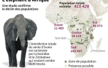 L'éléphant d'Afrique