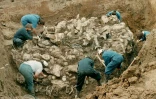 Des experts internationaux exhument des cadavres de victimes présumées du massacre de Srebrenica, le 24 juillet 1996 dans le village de Pilica, à 300 km au nord-est de Sarajevo