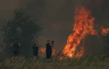 Une habitante filme un incendie à Tournissan, dans l'Aude, le 5 août 2025