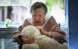 Une patiente de l'hôpital Broca à Paris tient dans ses bras Paro, une peluche phoque animée par IA, le 16 septembre 2026