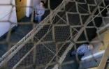 Des détenus le 7 février 2016 dans la prison de Debrecen en Hongrie