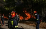 Des pompiers grecs tentent d’éteindre un incendie de forêt dans la région de Porto Germeno, à quelque 70 kilomètres au nord-ouest d’Athènes, dans la région de la Viotia, le 2 août 2026