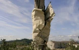Une plaque de tôle enroulée autour du tronc d'un arbre après le passage d'une tornade, à Pomas, dans l'Aude, le 25 août 2026