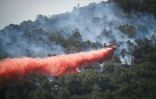 Un feu de forêt près de Narbonne, le 8 juillet 2025