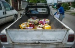 Des couronnes de fleurs destinées à des enterrements, à l'arrière d'une voiture à La Havane le 27 janvier 2016