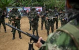 Des membres de la Segunda Marquetalia, guérilla de la dissidence des Farc, le 31 août 2024 à Llorente, dans la municipalité de Tumaco, en Colombie